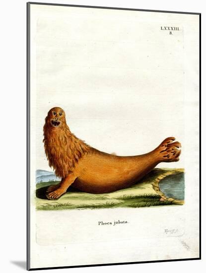 Steller Sea Lion-null-Mounted Giclee Print