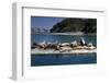 Steller Sea Lions (Eumetopias Jubatus), Kodiak Island, Alaska, USA-Roddy Scheer-Framed Photographic Print