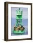 Steller Sea Lions on Buoy in Alaska-null-Framed Photographic Print