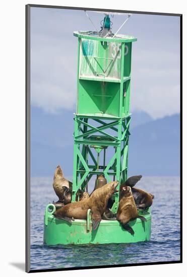 Steller Sea Lions on Buoy in Alaska-null-Mounted Photographic Print