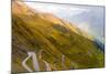 Stelvio Pass, Passo Dello Stelvio, Ortler Alps-Feel Free-Mounted Photographic Print