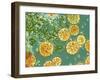 Stem Cells, Light Micrograph-NIBSC-Framed Photographic Print