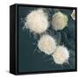 Stem Cells, SEM-Science Photo Library-Framed Stretched Canvas