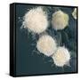 Stem Cells, SEM-Science Photo Library-Framed Stretched Canvas