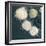 Stem Cells, SEM-Science Photo Library-Framed Premium Photographic Print