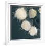 Stem Cells, SEM-Science Photo Library-Framed Photographic Print