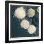 Stem Cells, SEM-Science Photo Library-Framed Photographic Print