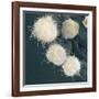 Stem Cells, SEM-Science Photo Library-Framed Photographic Print