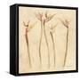 Stems of Bird of Paradise-Cheri Blum-Framed Stretched Canvas