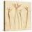 Stems of Bird of Paradise-Cheri Blum-Stretched Canvas