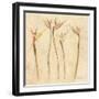 Stems of Bird of Paradise-Cheri Blum-Framed Art Print