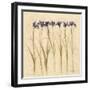 Stems of Iris-Cheri Blum-Framed Art Print