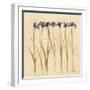 Stems of Iris-Cheri Blum-Framed Art Print