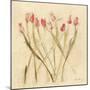 Stems of Red Tulips-Cheri Blum-Mounted Art Print