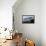 Stenbock House-null-Framed Stretched Canvas displayed on a wall