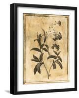 Stencil Floral Mate-Jace Grey-Framed Art Print