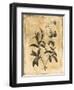 Stencil Floral Mate-Jace Grey-Framed Art Print