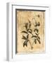 Stencil Floral Mate-Jace Grey-Framed Art Print