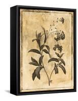 Stencil Floral Mate-Jace Grey-Framed Stretched Canvas