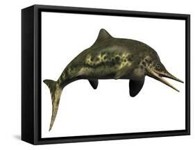 Stenopterygius Was an Icthyosaur from the Jurassic Perio-null-Framed Stretched Canvas