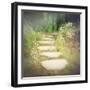 Step by Step-Amy Melious-Framed Premium Giclee Print