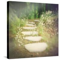 Step by Step-Amy Melious-Stretched Canvas