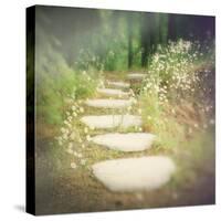 Step by Step-Amy Melious-Stretched Canvas