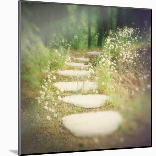 Step by Step-Amy Melious-Mounted Art Print