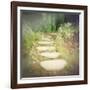 Step by Step-Amy Melious-Framed Art Print