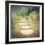 Step by Step-Amy Melious-Framed Art Print