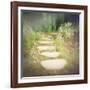 Step by Step-Amy Melious-Framed Art Print