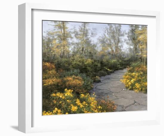 Step into Autumn-Diane Romanello-Framed Art Print