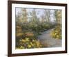 Step into Autumn-Diane Romanello-Framed Art Print