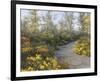 Step into Autumn-Diane Romanello-Framed Art Print