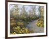 Step into Autumn-Diane Romanello-Framed Art Print