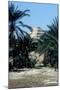 Step Pyramid (Behind Palms) of King Djoser (Zozer), Saqqara, Egypt, 3rd Dynasty, C2600 Bc-Imhotep-Mounted Photographic Print