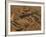 Step Pyramid of Djoser, Saqqara, Old Kingdom, Egypt-Kenneth Garrett-Framed Photographic Print