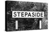 Stepaside-J. Chettlburgh-Stretched Canvas