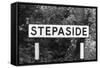 Stepaside-J. Chettlburgh-Framed Stretched Canvas