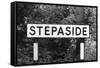 Stepaside-J. Chettlburgh-Framed Stretched Canvas