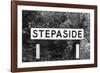 Stepaside-J. Chettlburgh-Framed Photographic Print