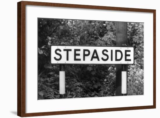 Stepaside-J. Chettlburgh-Framed Photographic Print