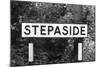 Stepaside-J. Chettlburgh-Mounted Photographic Print