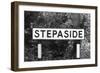 Stepaside-J. Chettlburgh-Framed Photographic Print