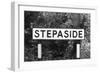 Stepaside-J. Chettlburgh-Framed Photographic Print