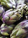 Several Artichokes-Stephan Caraccio-Stretched Canvas