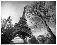 Eiffel Tower With Tree-Stéphane Graciet-Art Print