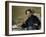 Stéphane Mallarmé by ‰Douard Manet-Édouard Manet-Framed Giclee Print