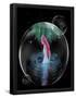 Essential Black