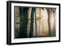 Black Frame